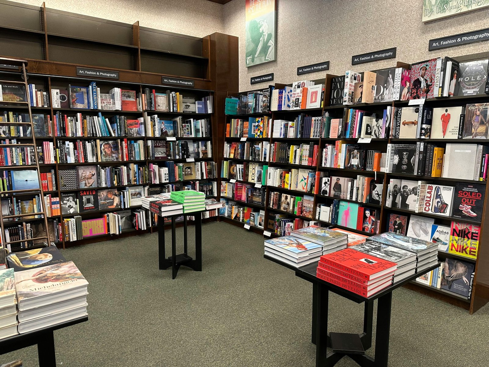 A cozy bookstore interior showcasing a wide variety of art and photography books neatly organized on shelves.